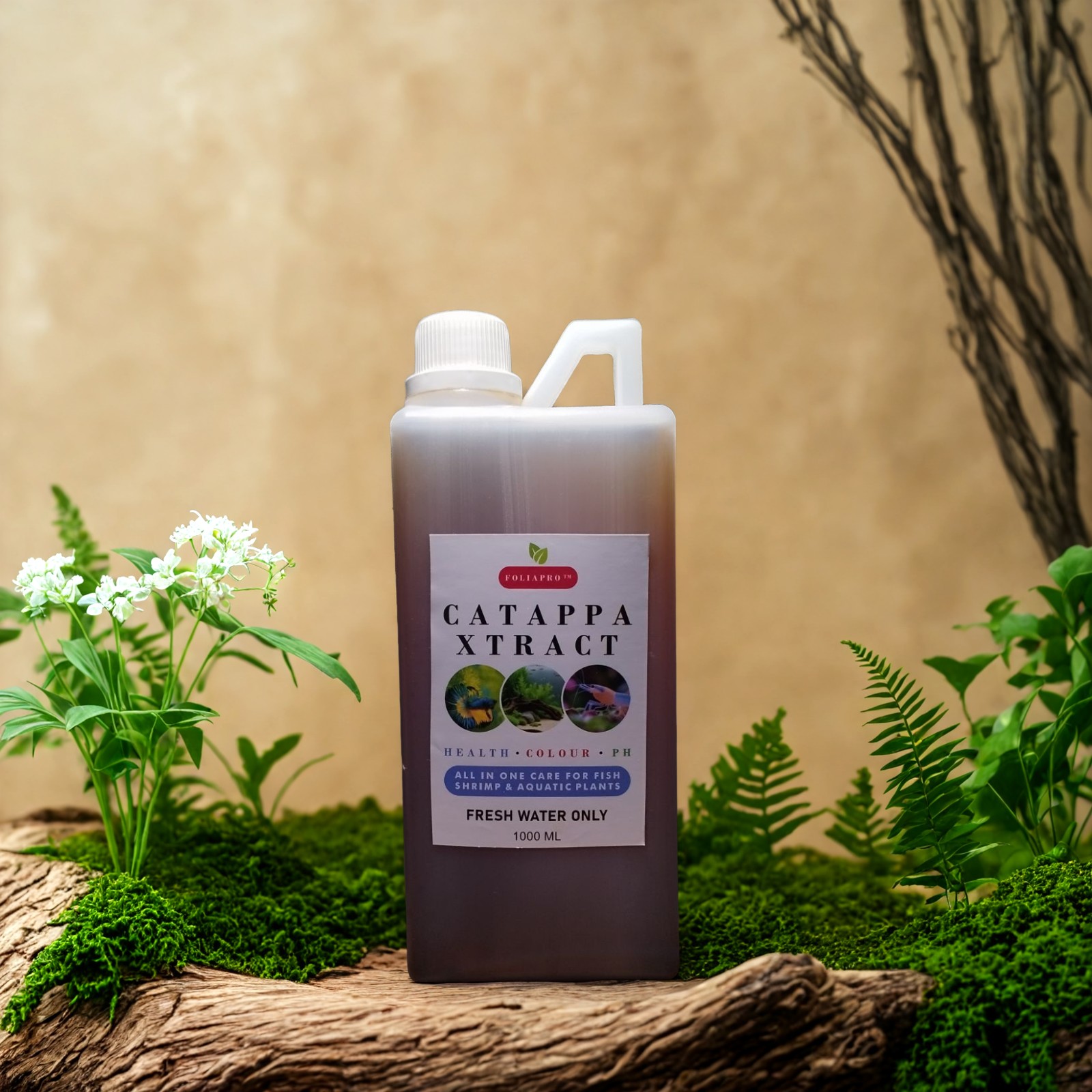 No-Boil Catappa Leaf Extract